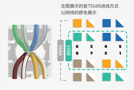 新型5G水晶頭接線順序是什么？英曼新型水晶頭線序如何？