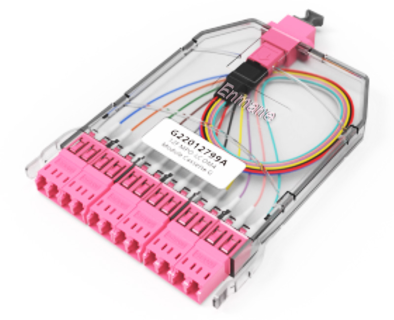 Enmane-Fiber Optic Module