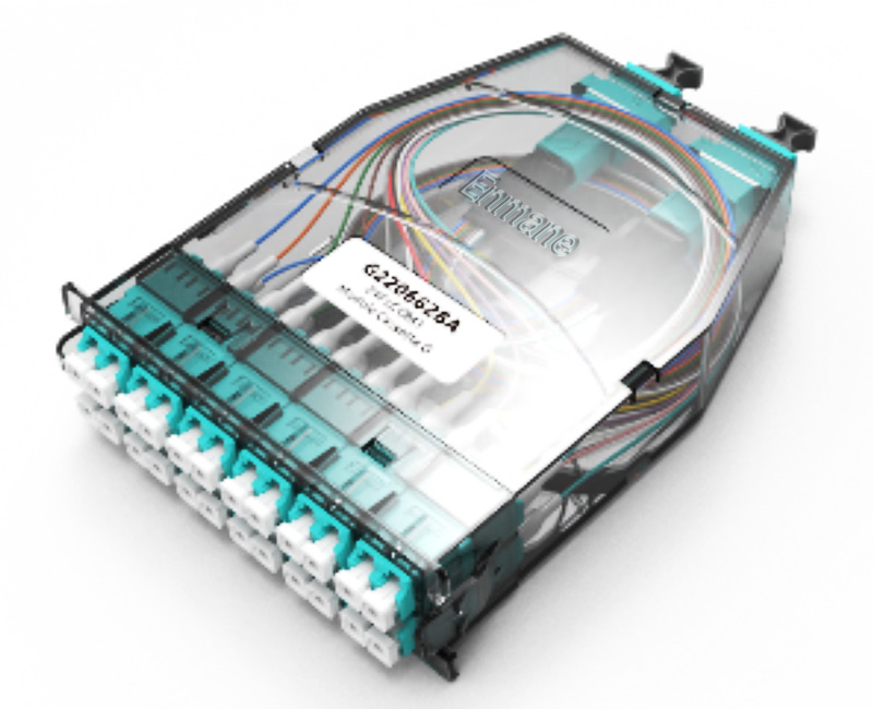 Enmane-Fiber Optic Module