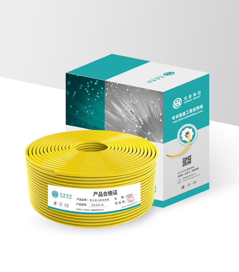 超五類-專業家裝工程網線